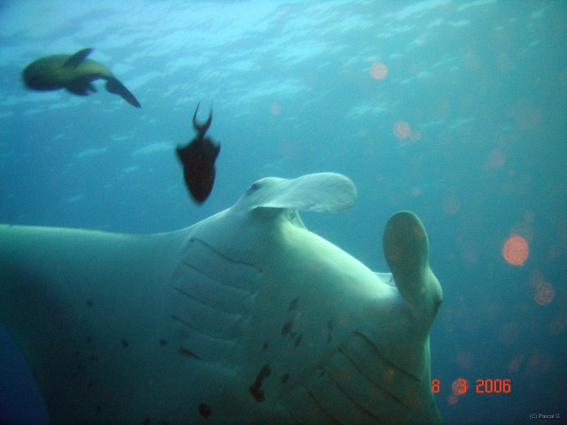 DSC05084 