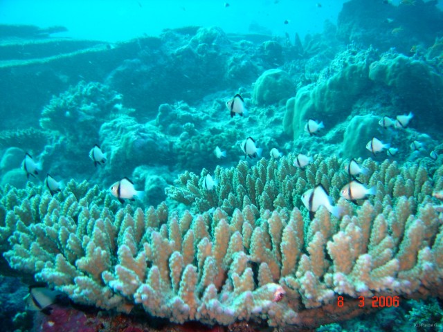 DSC05087 