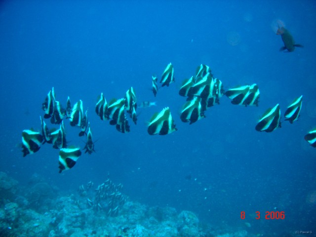 DSC05092 