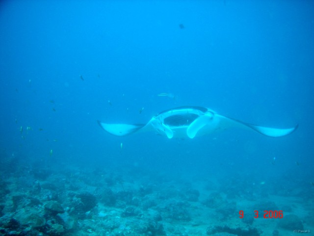 DSC05157 