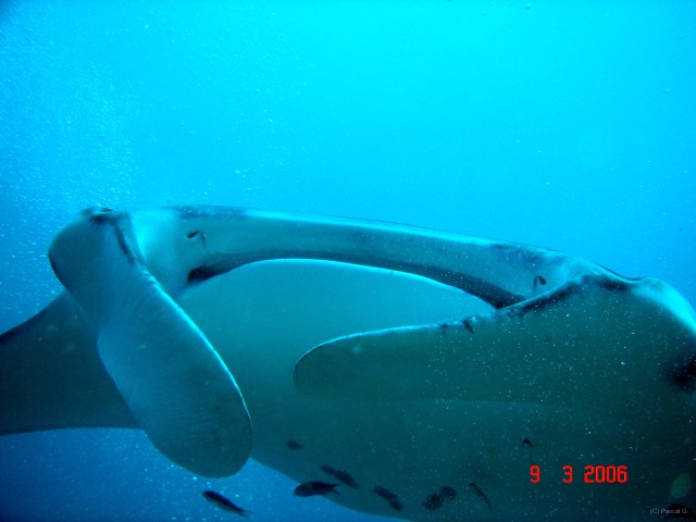 DSC05160 