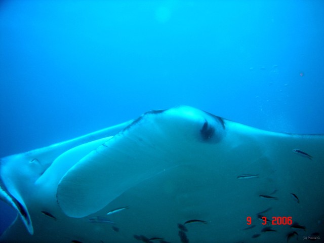 DSC05163 