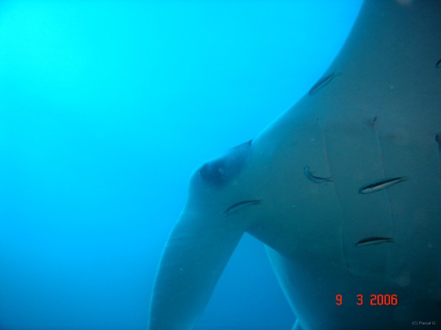 DSC05164 