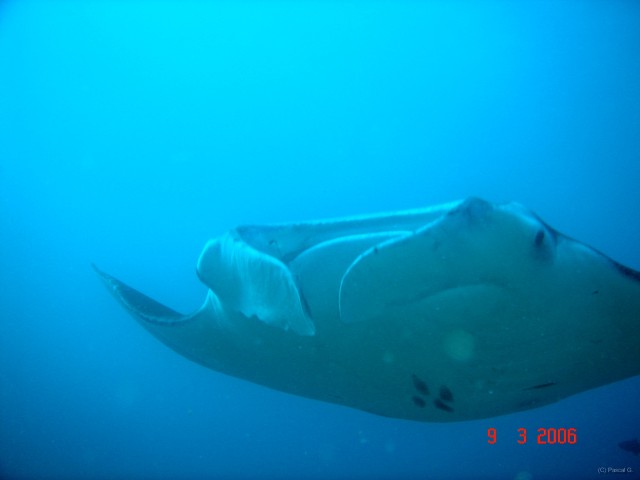 DSC05165 