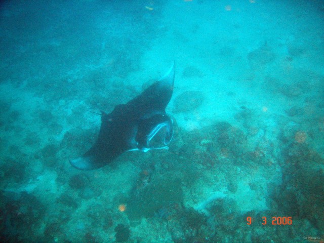 DSC05167 