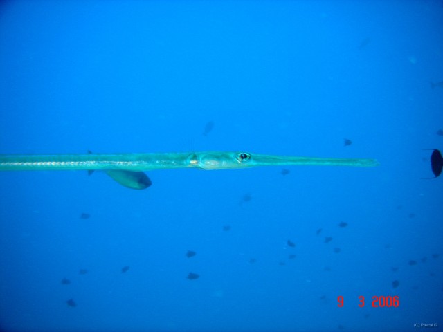 DSC05169 