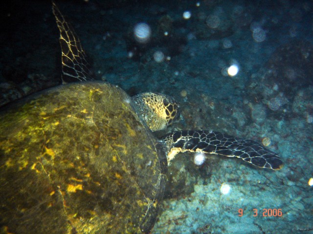 DSC05199 