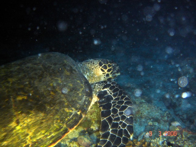 DSC05201 