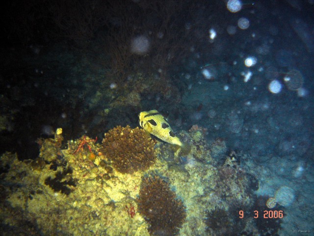 DSC05205 