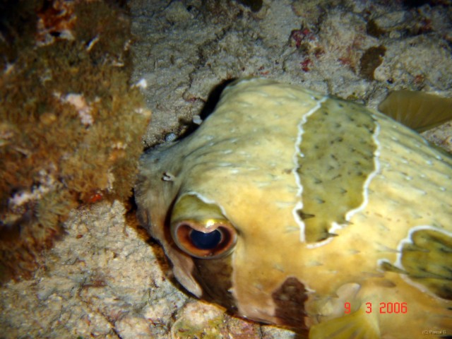 DSC05220 