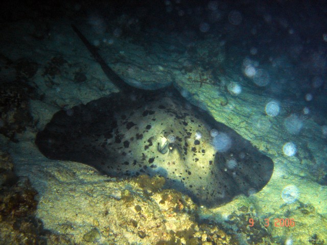 DSC05225 