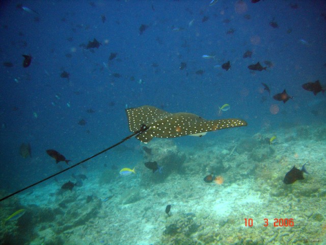 DSC05260 