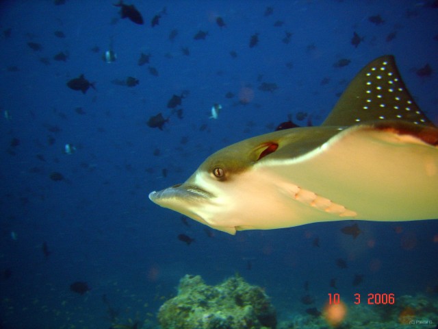 DSC05262 