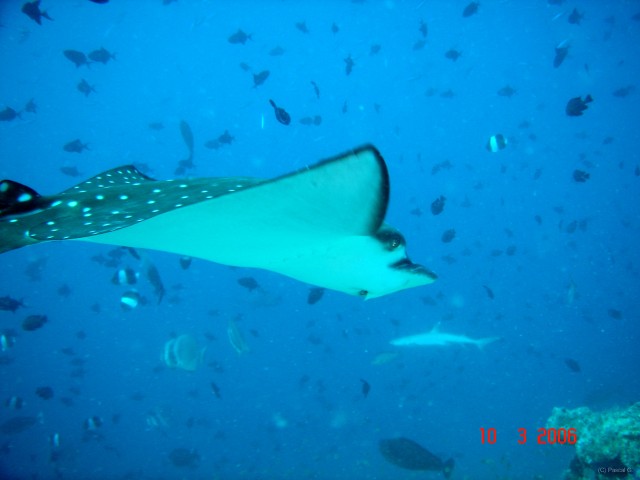 DSC05266 