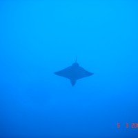 DSC04860 