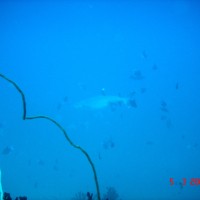 DSC04863 