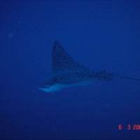 DSC04890 