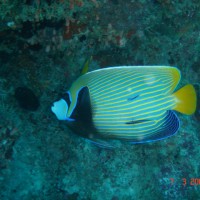 DSC05000