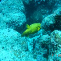 DSC05006