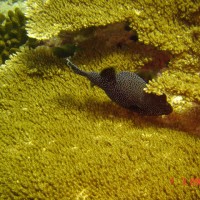 DSC05046 