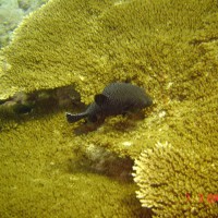 DSC05047 
