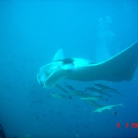 DSC05074 