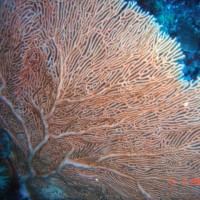 DSC05171 