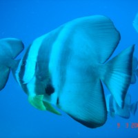 DSC05185 