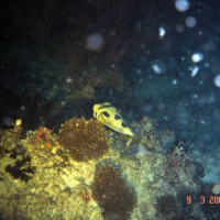 DSC05205 