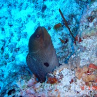 DSC05269