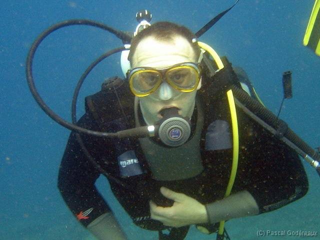 DSC01536 