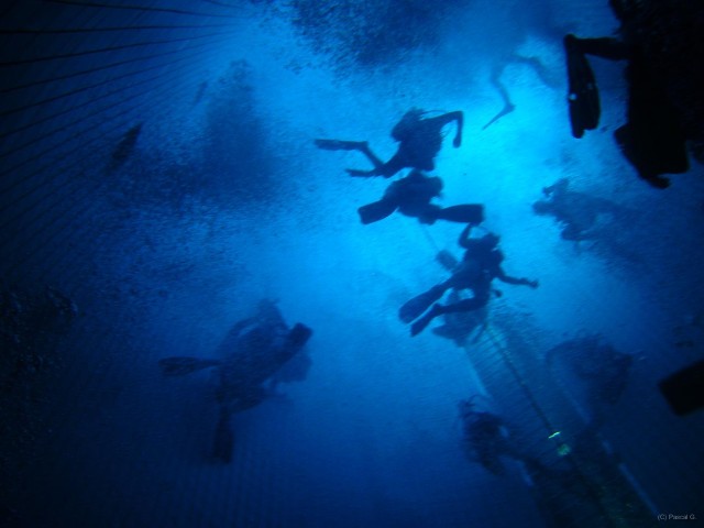 DSCN0145 