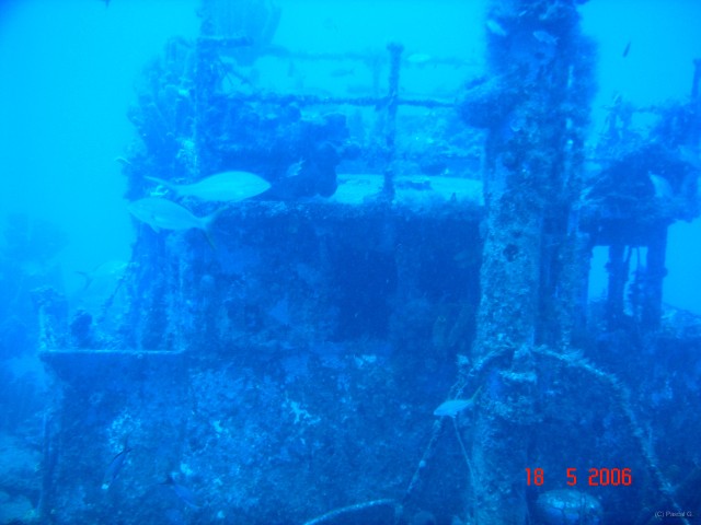 DSC05877 