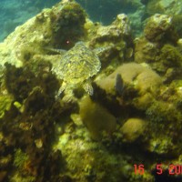 DSC05853 